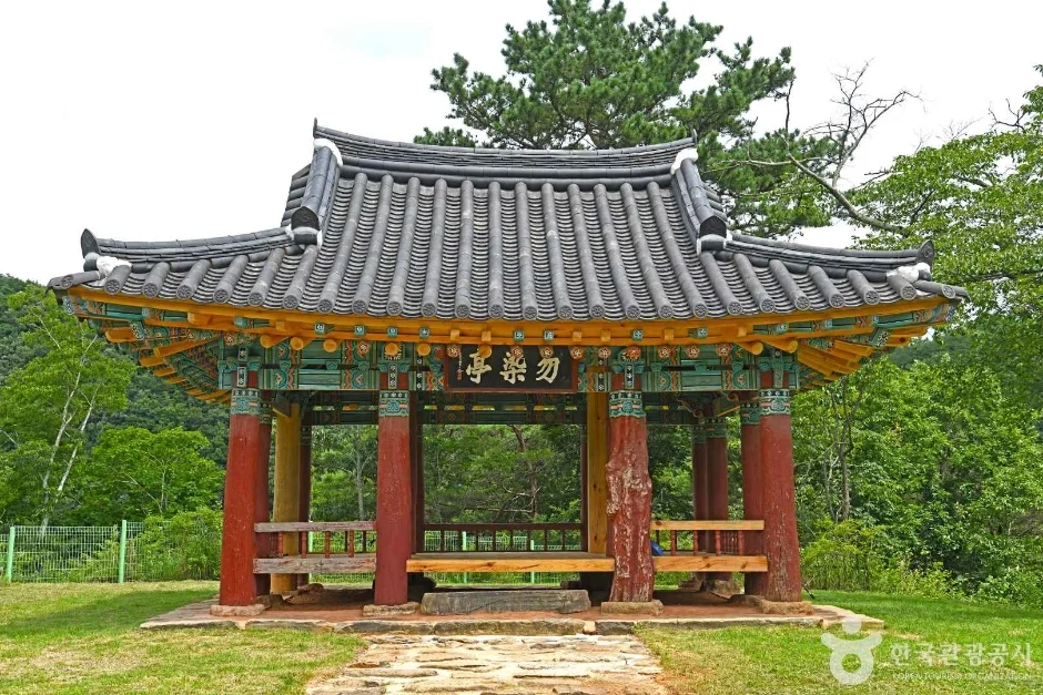 숲 앞에 선 정자