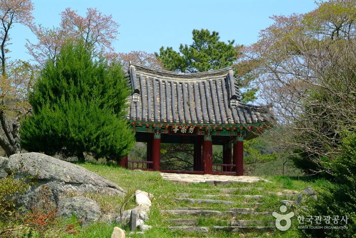 돌계단 위로 보이는 물염정
