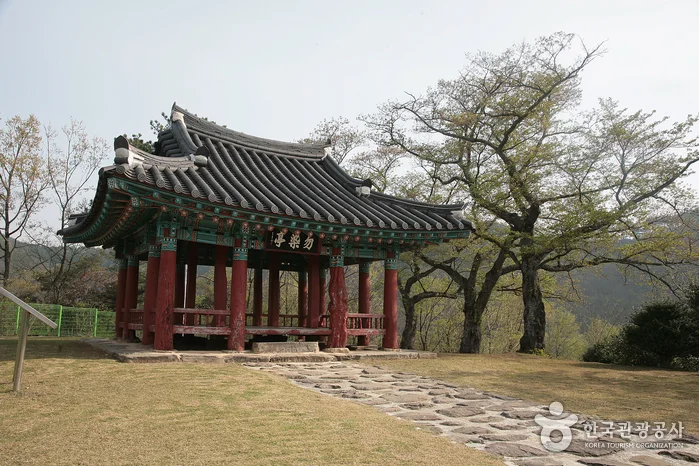 나무들 사이로 정자가 보이는 길