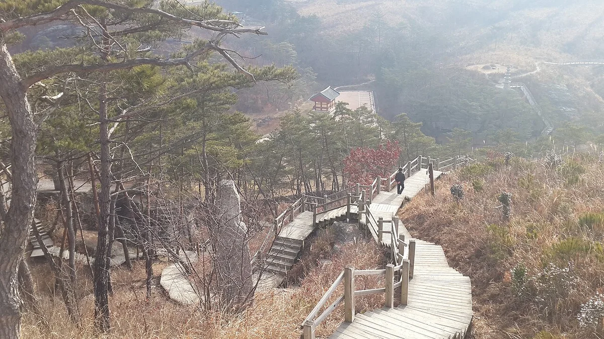 뿌연 대기 속 산자락에 소나무가 서 있고 나무 데크 계단이 이어진 길