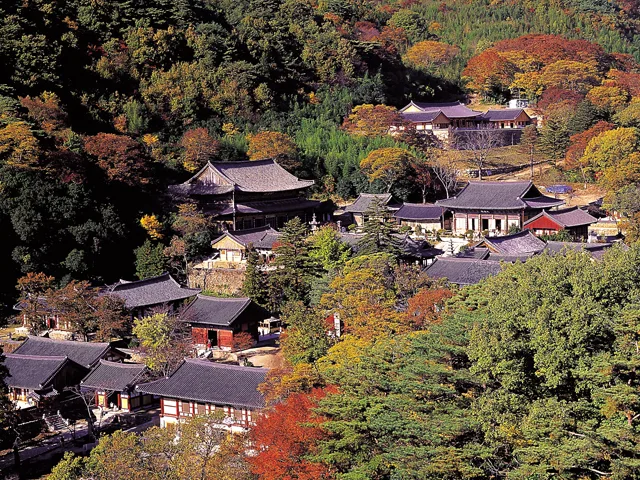 "지리산이 붉게 물들면, 천년 고찰은 그 속에 잠긴다"… 구례 화엄사 단풍 기행
