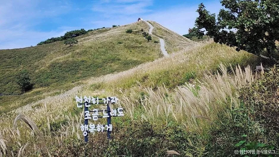 황매산 억새 능선 탐방로 실제 현장 사진