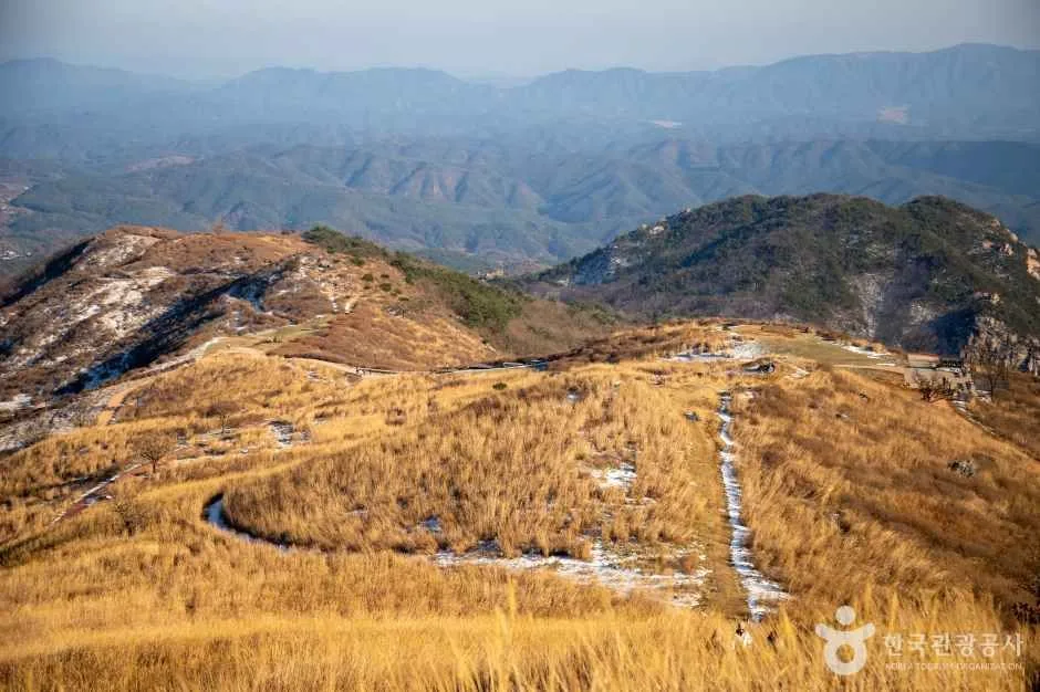 황매산 능선을 뒤덮은 억새 군락지 항공 조망 실제 현장 사진