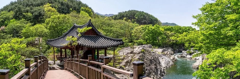 나무 데크 다리 끝에 보이는 정자