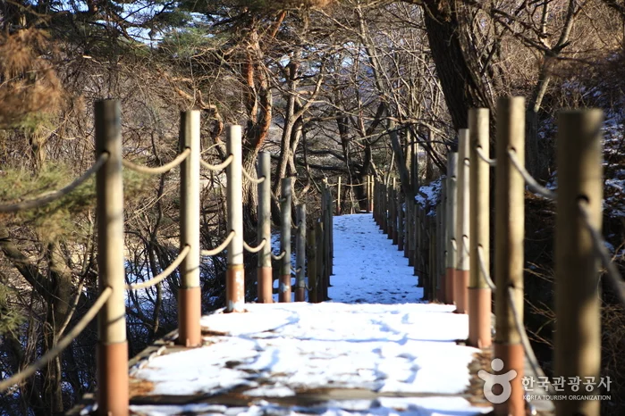 눈이 덮인 나무 데크 계단과 난간