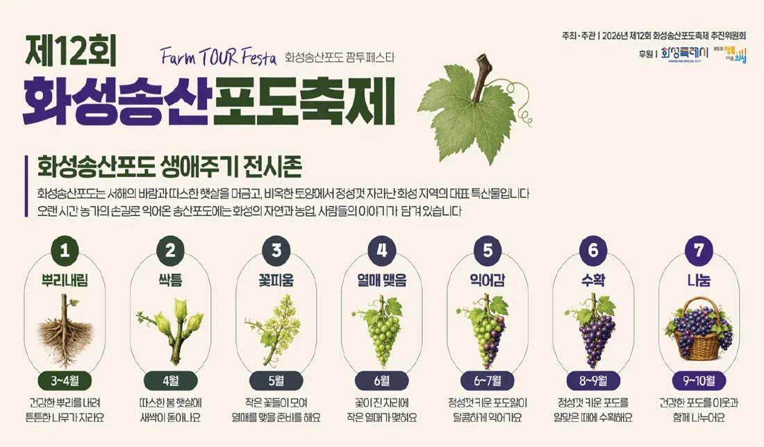 화성송산포도 생애주기를 뿌리내림부터 나눔까지 7단계로 소개하는 전시 패널