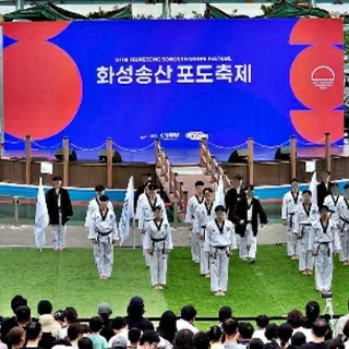 메인 무대에서 태권도 시범단이 축제 오프닝 공연을 펼치는 모습