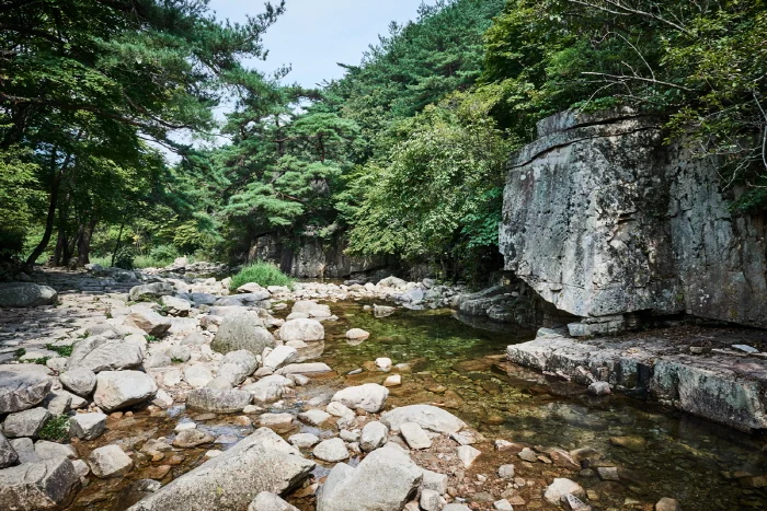자갈 깔린 개울가에 큰 바위가 솟아 있는 쌍곡 계곡