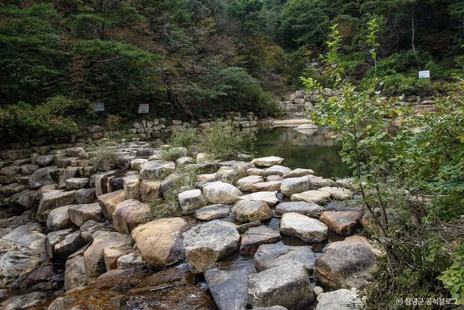 화왕산 등산로 인근 계곡의 돌로 쌓은 작은 물웅덩이와 숲