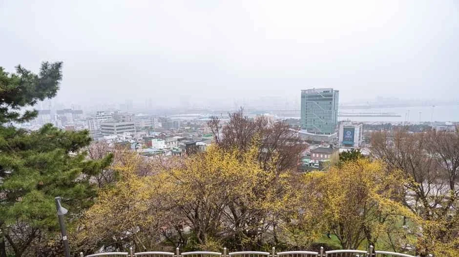 자유공원 난간에서 내려다본 시가지 풍경