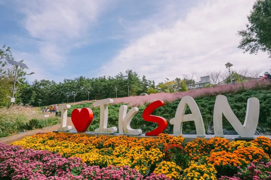 국화꽃으로 장식된 'I LOVE IKSAN' 대형 포토존 조형물