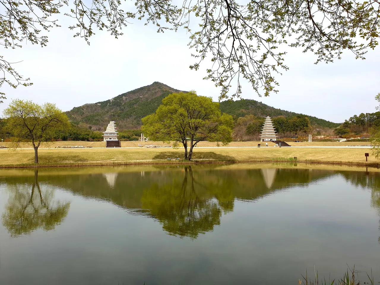 서연지 연못에 비친 미륵사지 동·서 석탑과 미륵산 능선, 봄철 신록의 나무 두 그루가 함께 보이는 풍경