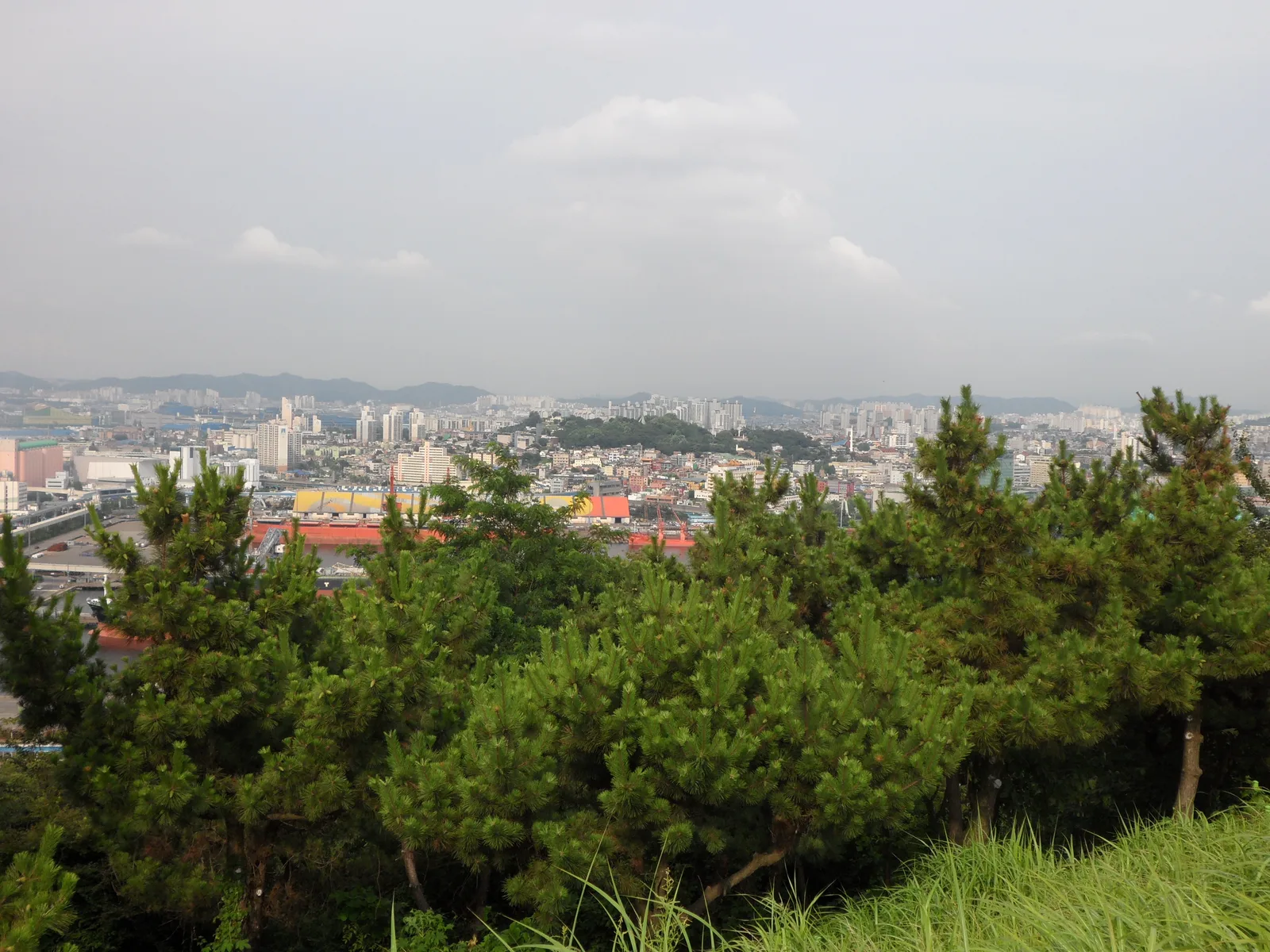 월미도 전망대에서 소나무 숲 너머로 내려다본 인천항과 도심 전경