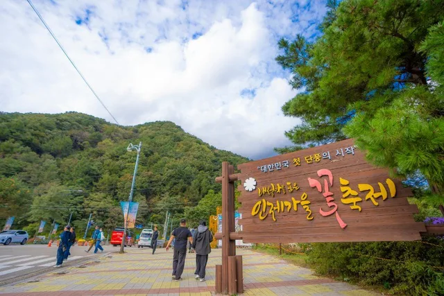 '대한민국 첫 단풍의 시작 인제가을꽃축제'라고 적힌 나무 입간판과 뒤로 보이는 산