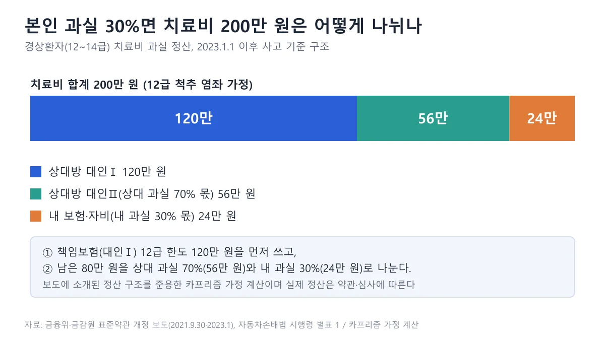 치료비 200만 원이 상대방 대인Ⅰ 120만 원, 상대방 대인Ⅱ 56만 원, 내 보험·자비 24만 원으로 나뉘는 가로 막대 도표