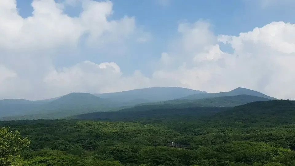 1100도로 능선의 여름 조망