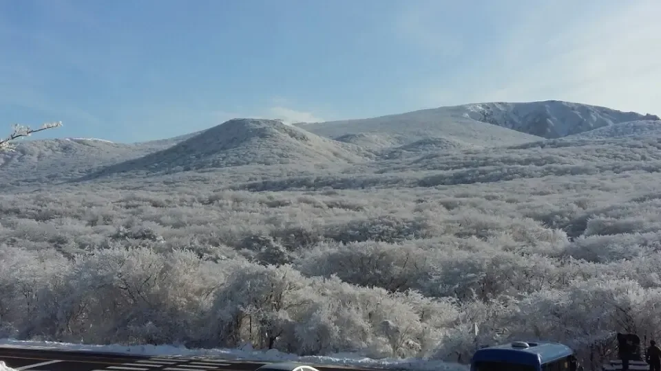 1100고지 상고대 설경