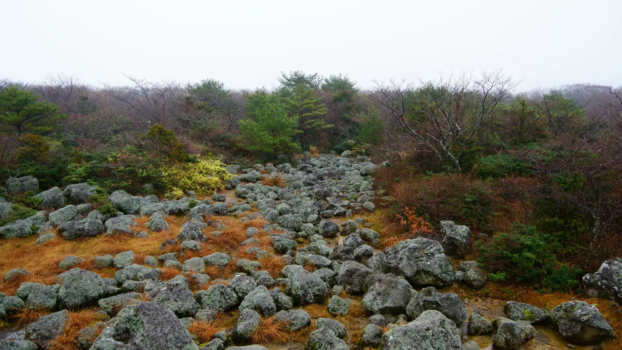 1100고지 습지 암석지대 가을