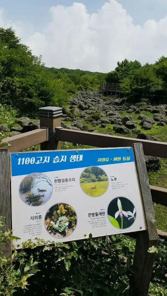 1100고지 습지 안내판