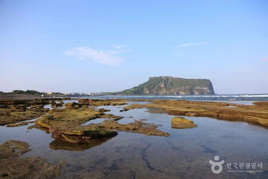 이끼 낀 암반과 물웅덩이가 넓게 펼쳐진 광치기해변, 멀리 성산일출봉이 보이는 풍경