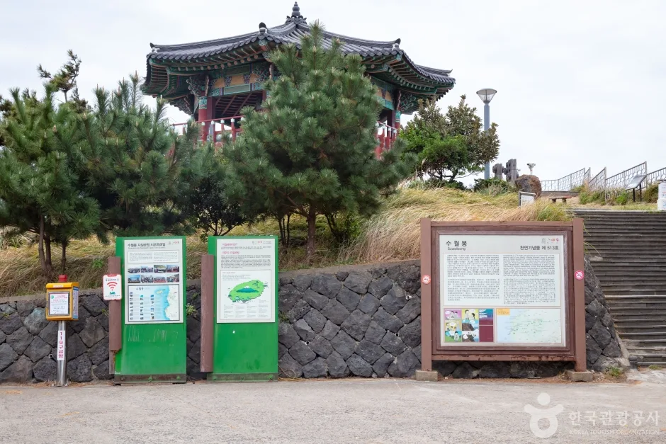 수월봉 주차장 앞에 세워진 안내판과 억새가 자란 언덕, 뒤로 육각정 지붕이 보이는 모습