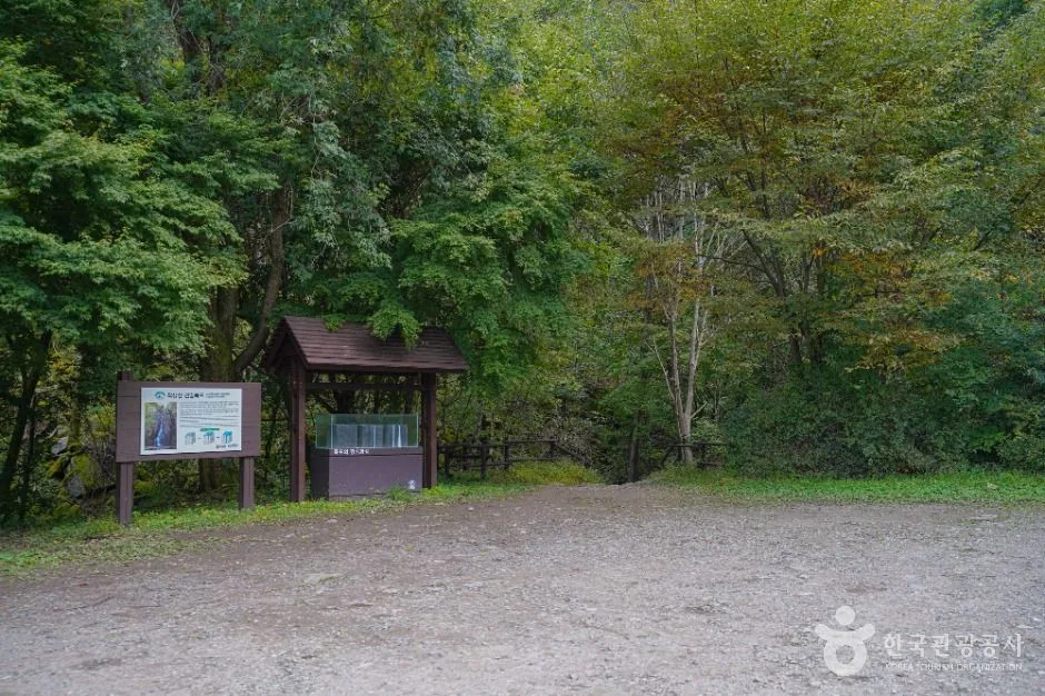 숲길 입구에 안내판이 서 있고 앞쪽에 비포장 공터가 있는 탐방로 초입