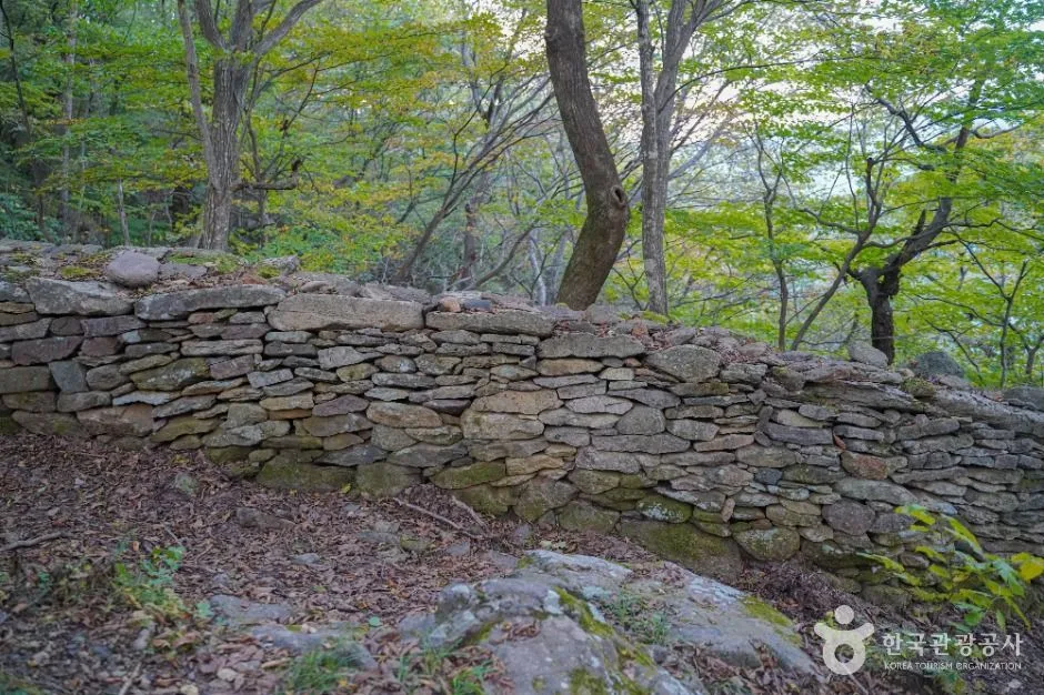 숲 속 흙길 옆으로 돌을 쌓아 만든 낮은 성벽이 이어진 모습