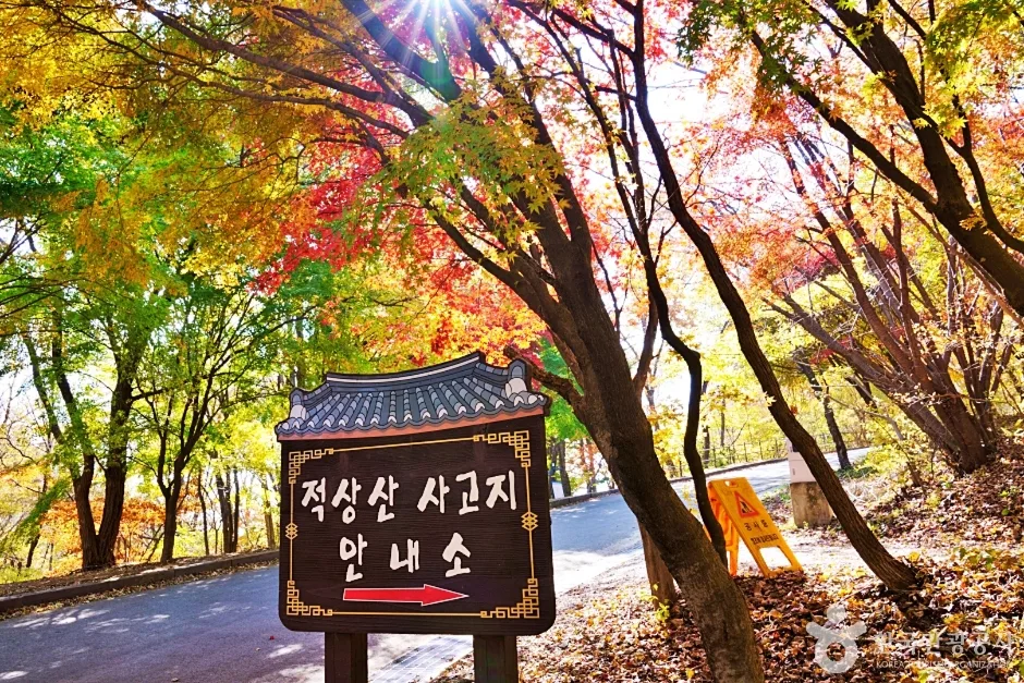 단풍나무 사이에 적상산 사고지 안내소라고 적힌 나무 안내판이 서 있는 모습