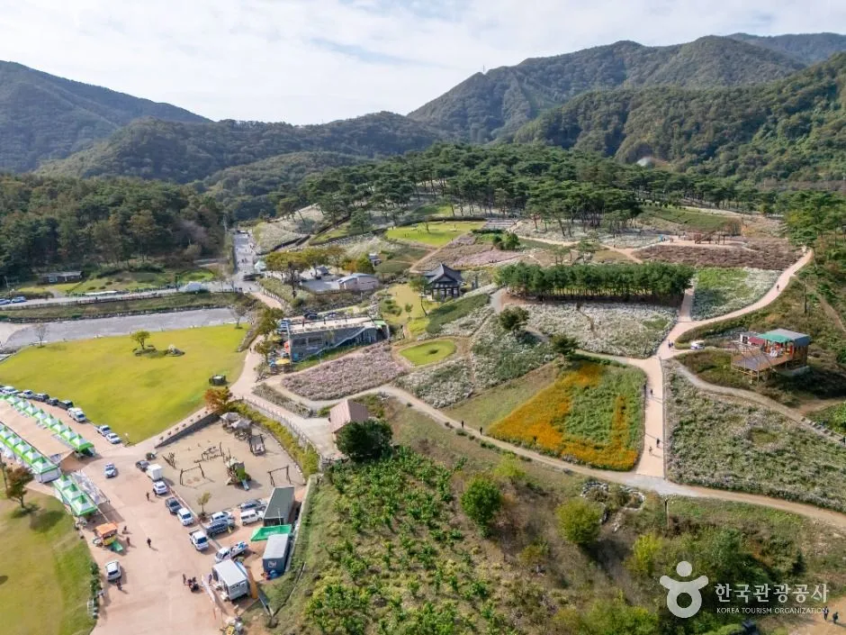 산자락 아래 정원 산책로와 주변 주차 공간이 함께 내려다보이는 구절초 지방정원의 항공 사진