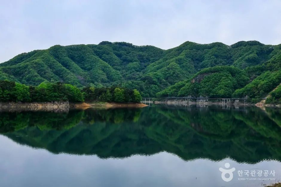 잔잔한 호수 수면에 초록 산 능선이 비쳐 보이는 옥정호 풍경