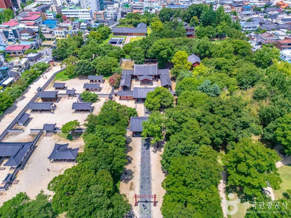 숲과 도심 사이에 자리한 경기전 경내와 주변 지붕들을 위에서 내려다본 항공 사진