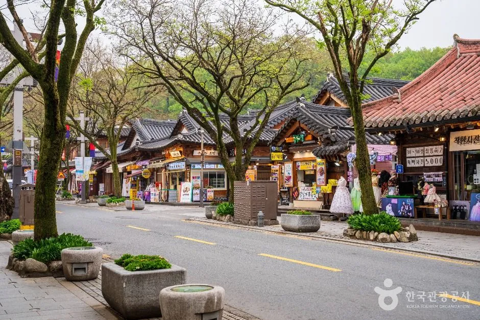 가로수가 늘어선 전주한옥마을 도로 양옆에 한옥풍 상가 건물이 이어지는 거리