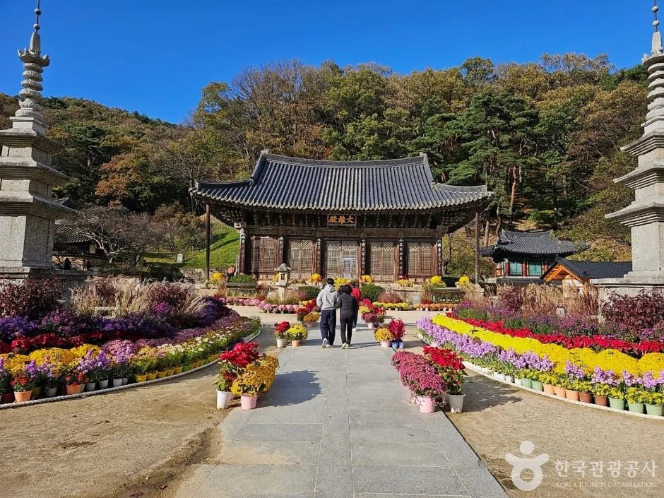 전각으로 이어진 길 양옆에 꽃 화단이 놓인 모습