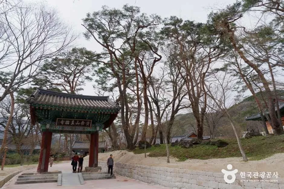 붉은 기둥의 문루와 소나무가 보이는 경내 진입로