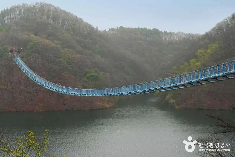 산으로 둘러싸인 호수 위에 걸린 길쭉한 다리를 멀리서 본 모습