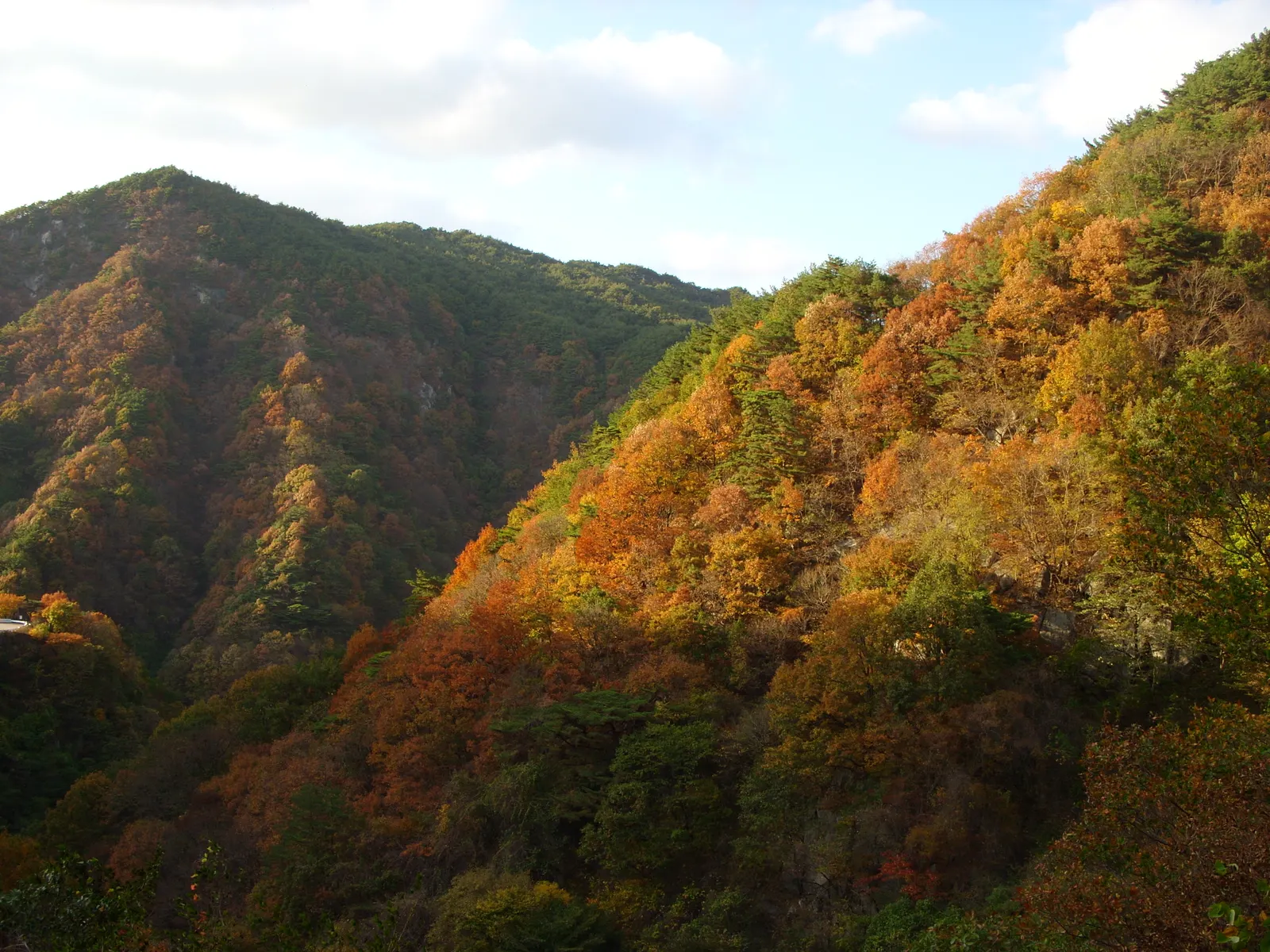 붉은색과 노란색, 녹색이 섞인 지리산국립공원 산자락 사면