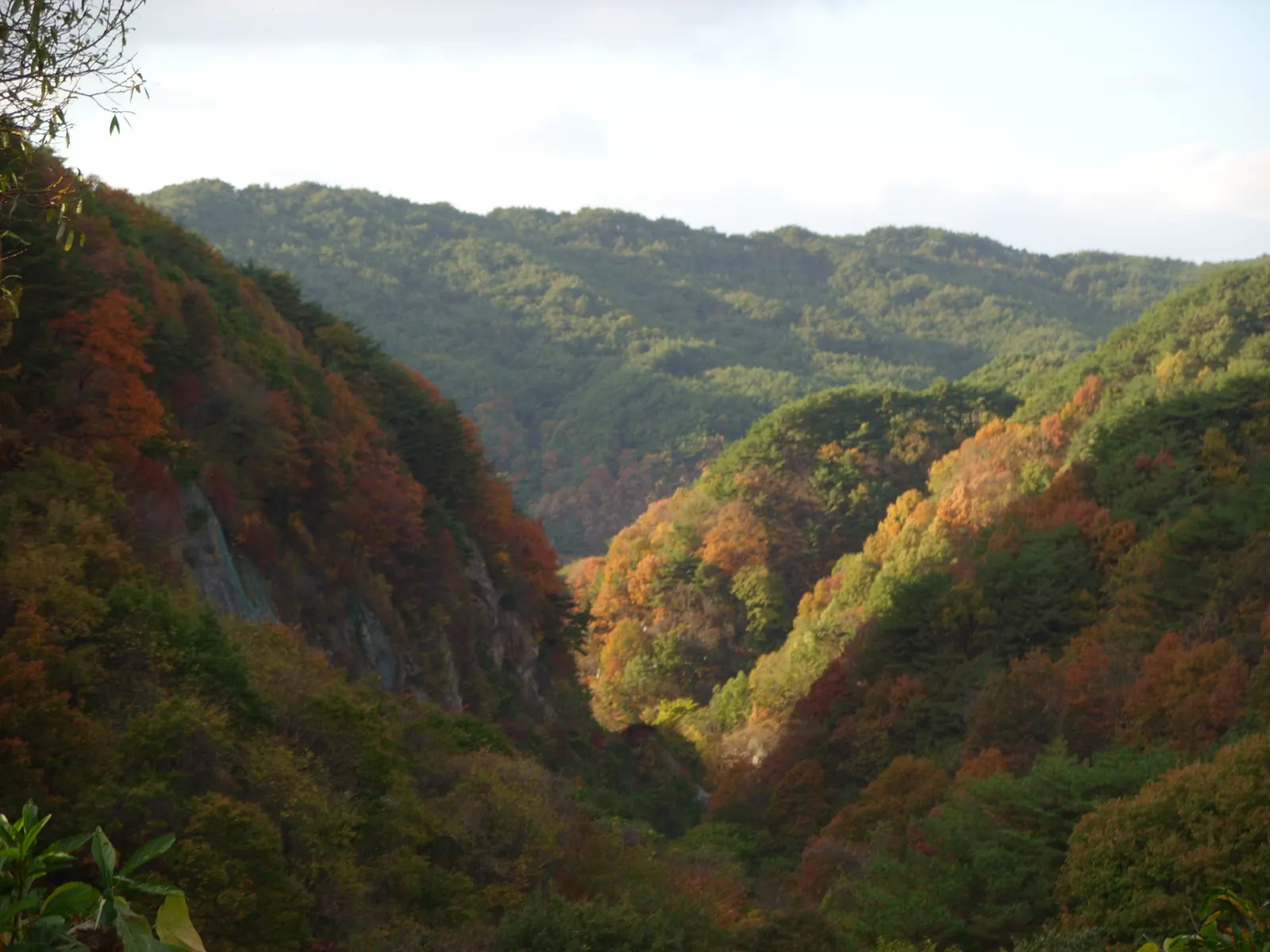 갈색과 노란색, 녹색이 섞여 있는 지리산국립공원 계곡 양쪽 사면