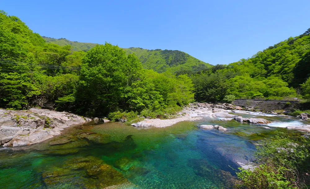 지리산 계곡의 맑은 물과 숲