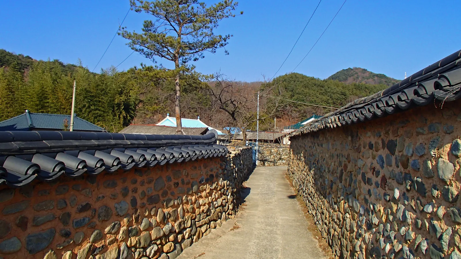 돌담과 기와지붕이 늘어선 남사예담촌 골목길, 뒤로 야산이 보인다