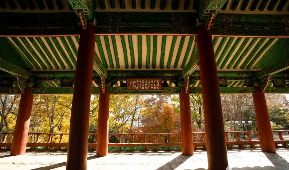 녹색 단청 천장과 붉은 기둥 사이로 단풍 든 숲이 보이는 정자 안
