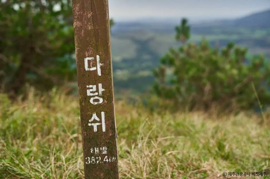 다랑쉬 해발 382.4m가 적힌 탐방로 나무 표지목