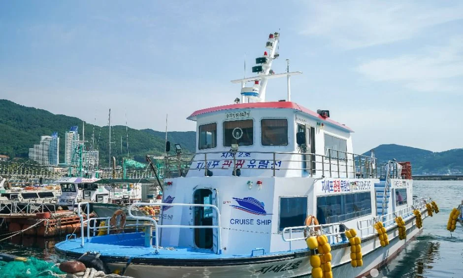 항구에 정박한 흰색 관광유람선