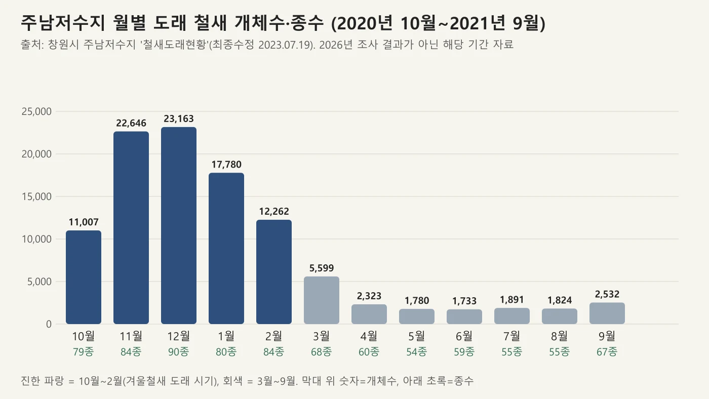 주남저수지 월별 도래 철새 개체수와 종수 막대그래프