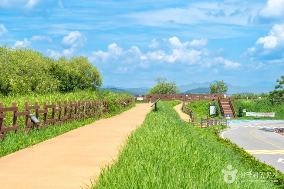 잔디와 황토길이 이어진 저수지 제방 탐방로