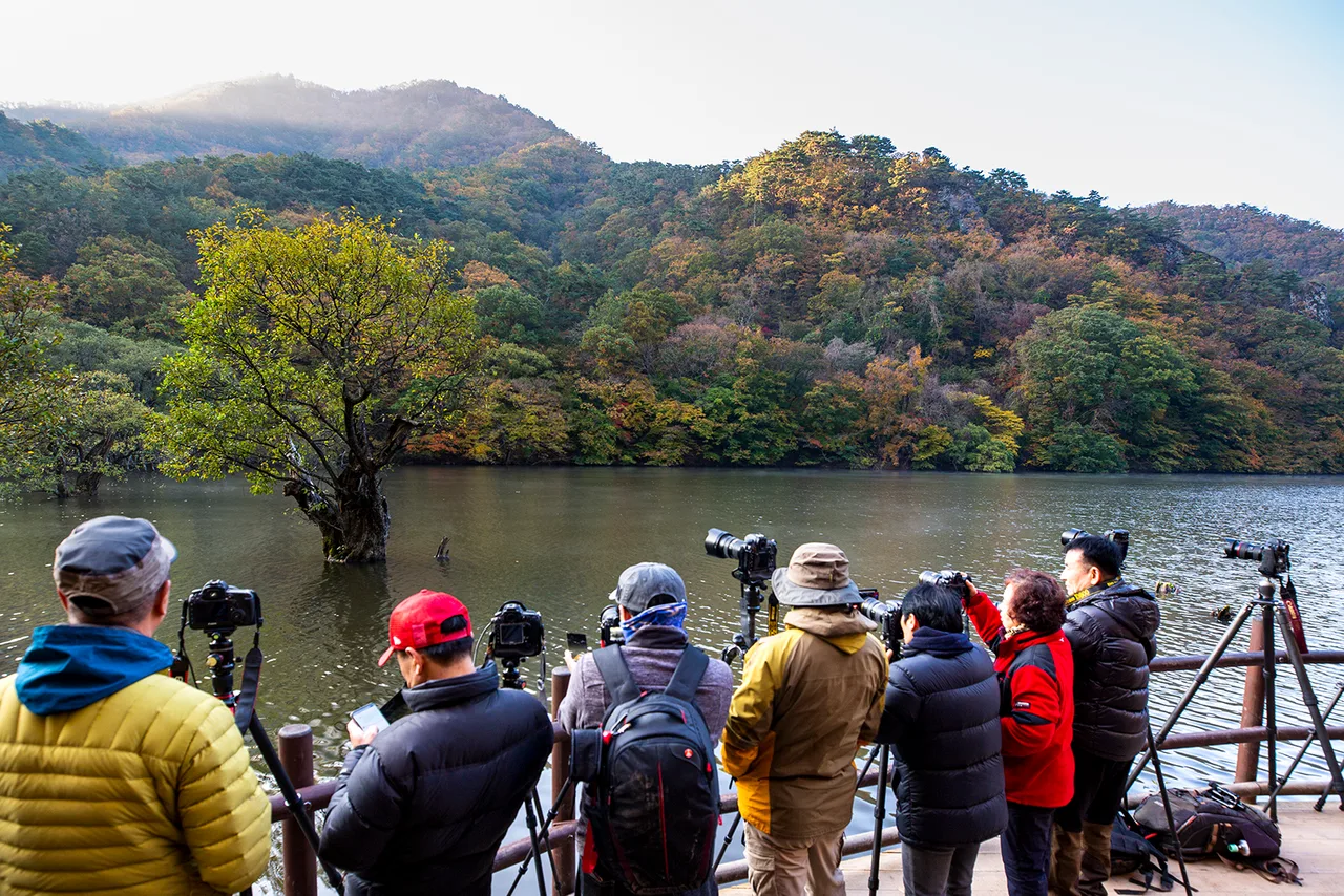 주산지 전망 데크에 삼각대를 세우고 늘어선 사진 촬영자들