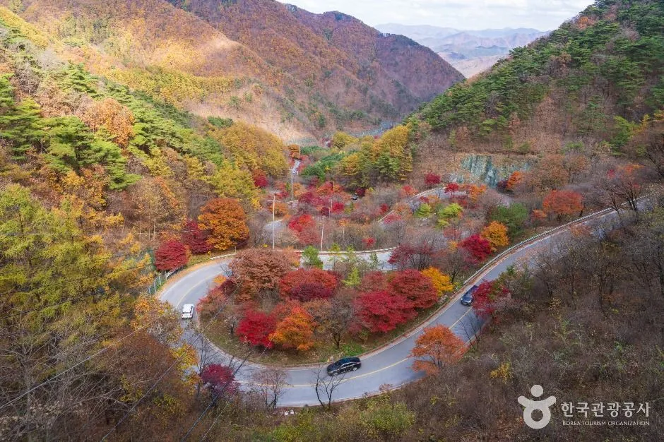 붉고 노랗게 물든 산비탈을 따라 굽이굽이 이어지는 고갯길을 위에서 내려다본 모습