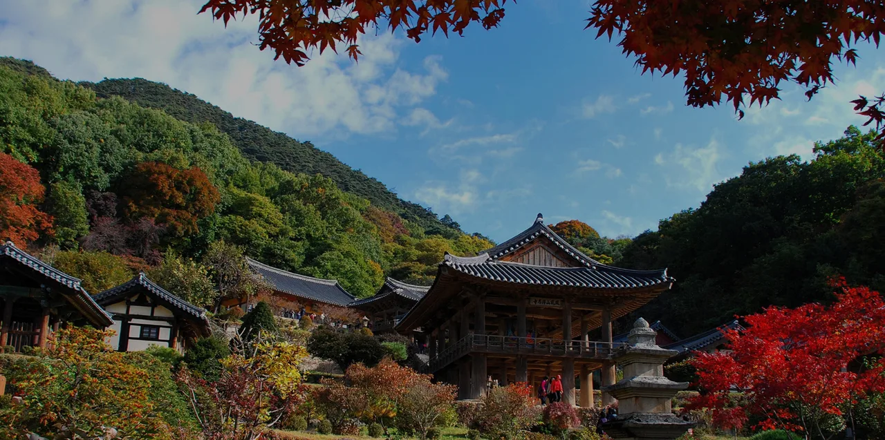 "국보 사찰은 공짜인데 서원은 2,000원입니다"… 영주 부석사·소수서원, 반대로 기억하기 쉬운 값