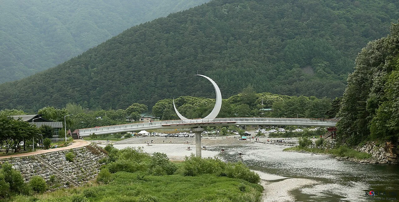 정선 하천과 다리 주변 주차된 차량