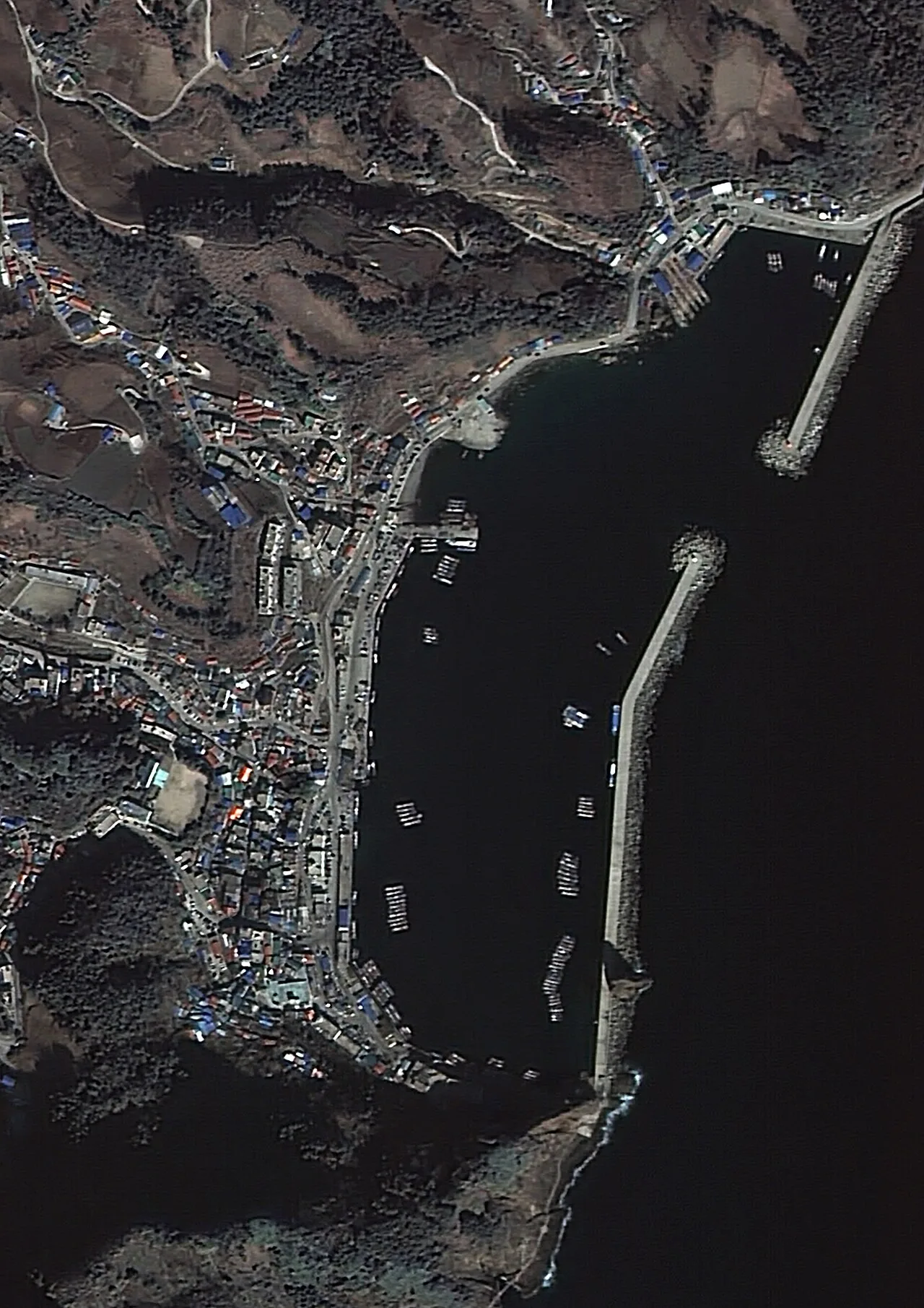 울릉도 저동항 위성사진