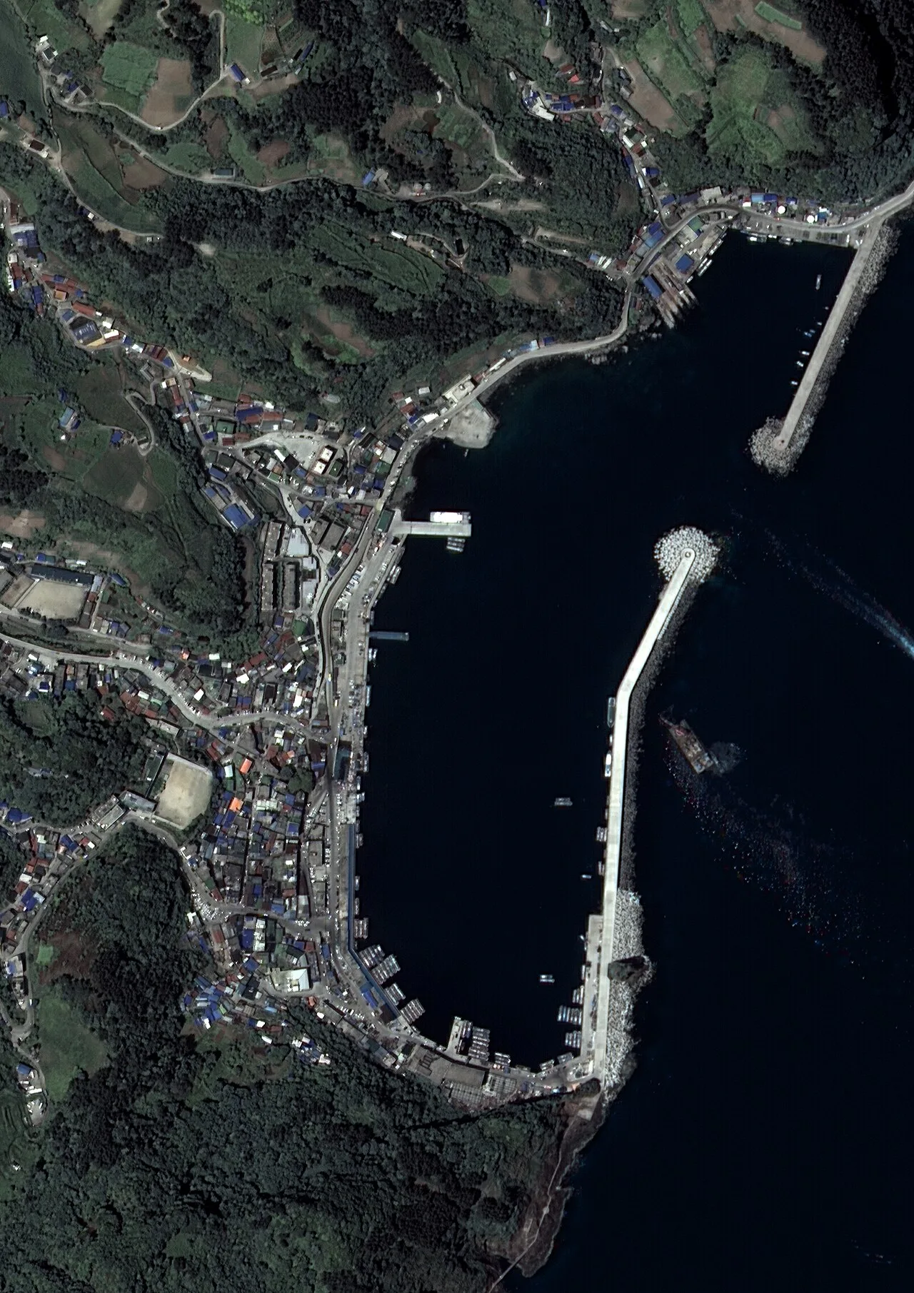 울릉도 저동항 주변 위성사진